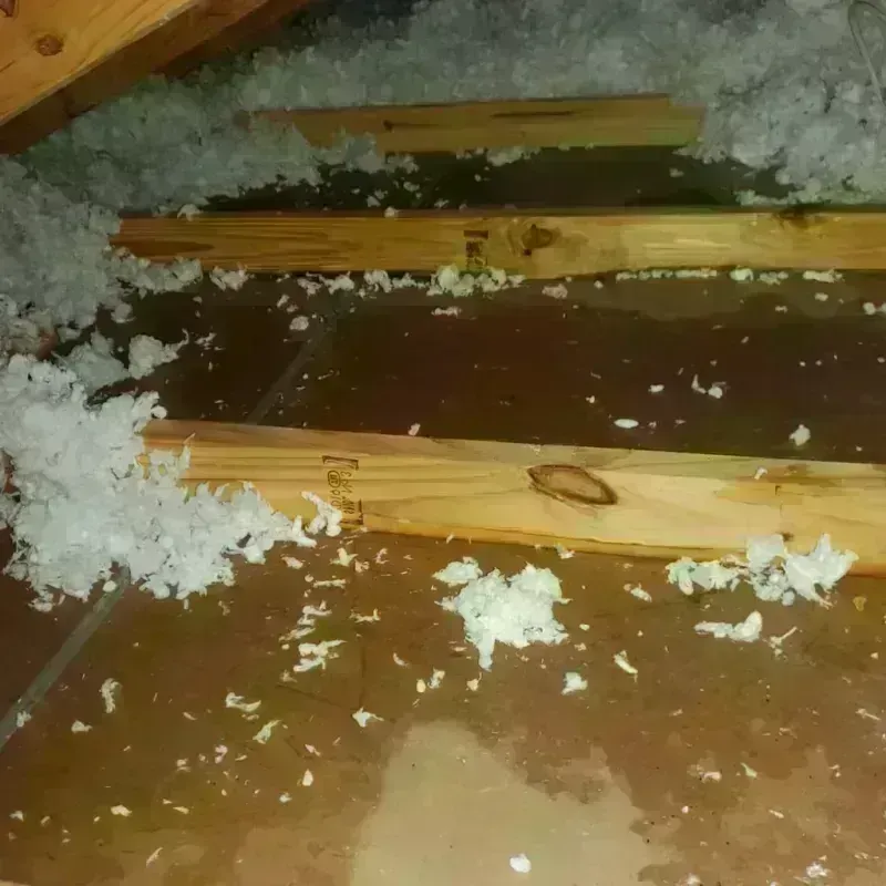 Attic Water Damage in Chino Hills, CA